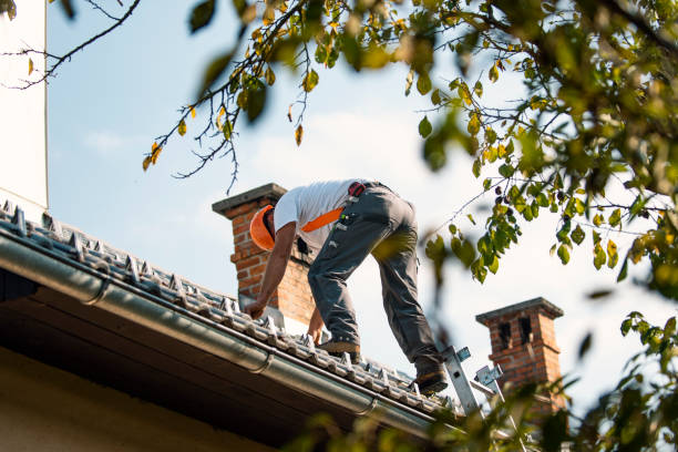 Quick and Trustworthy Emergency Roof Repair Services in Cottage Grove, WI